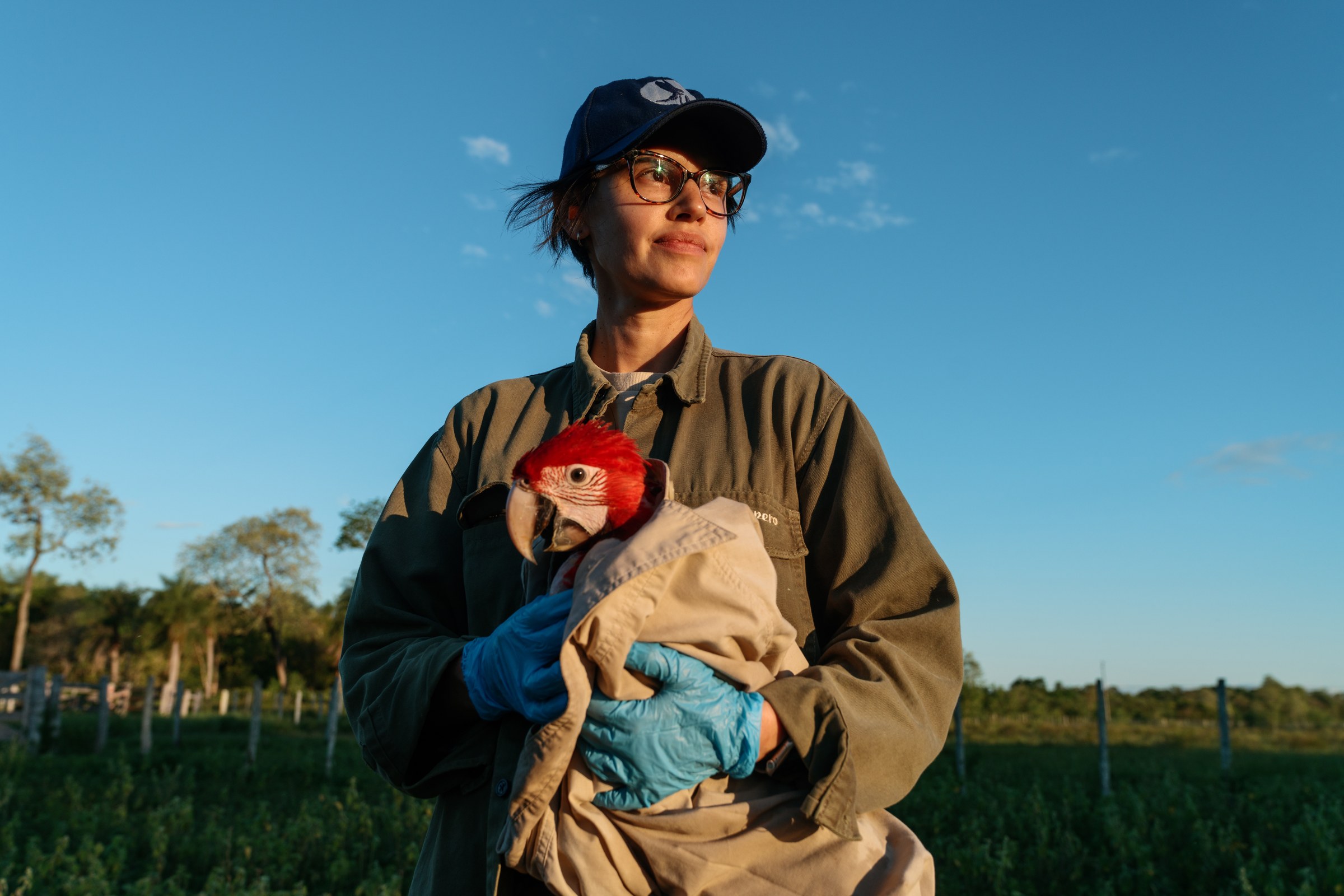 Veterinarian Diana Pésole, director of the Asociación para la Conservación de Psitácidos…